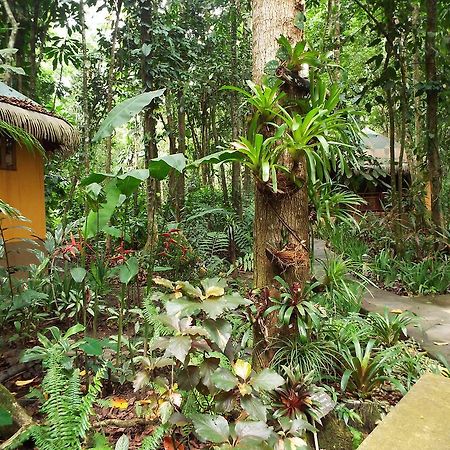 Korrigan Lodge Cahuita Luaran gambar