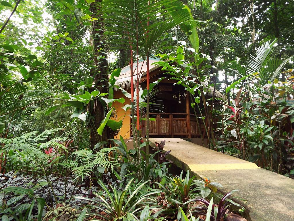 Korrigan Lodge Cahuita Bilik gambar