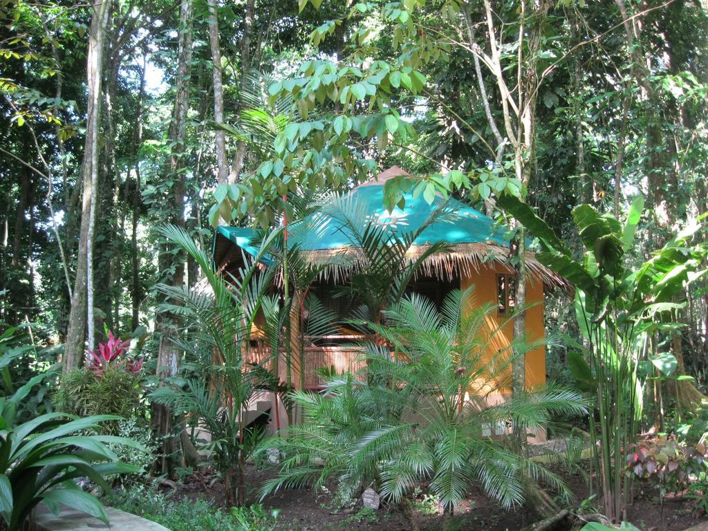 Korrigan Lodge Cahuita Bilik gambar