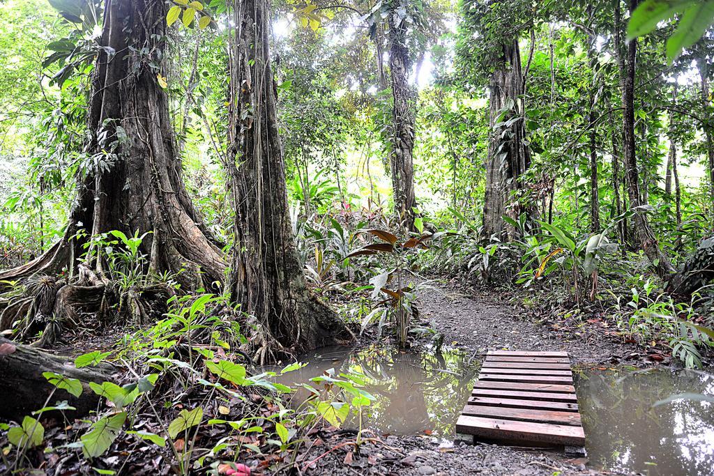 Korrigan Lodge Cahuita Luaran gambar