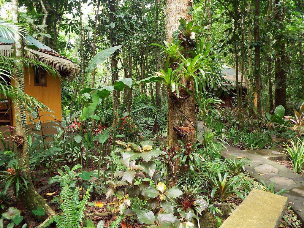 Korrigan Lodge Cahuita Luaran gambar