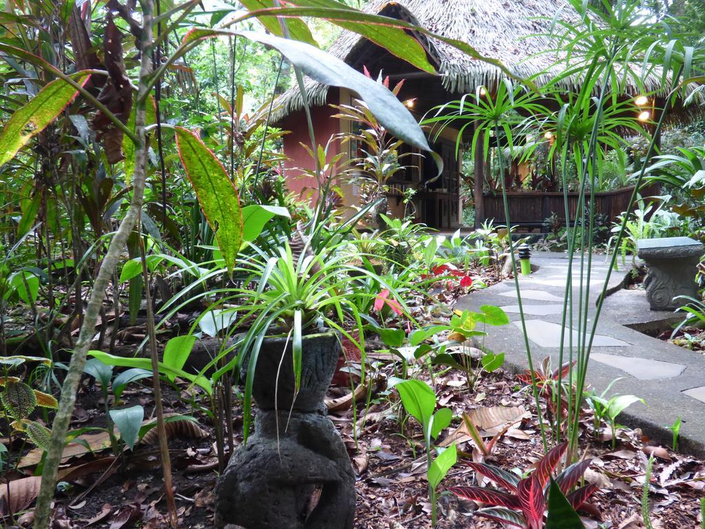 Korrigan Lodge Cahuita Luaran gambar