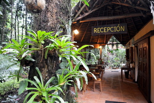 Korrigan Lodge Cahuita Luaran gambar