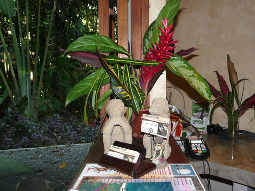 Korrigan Lodge Cahuita Luaran gambar